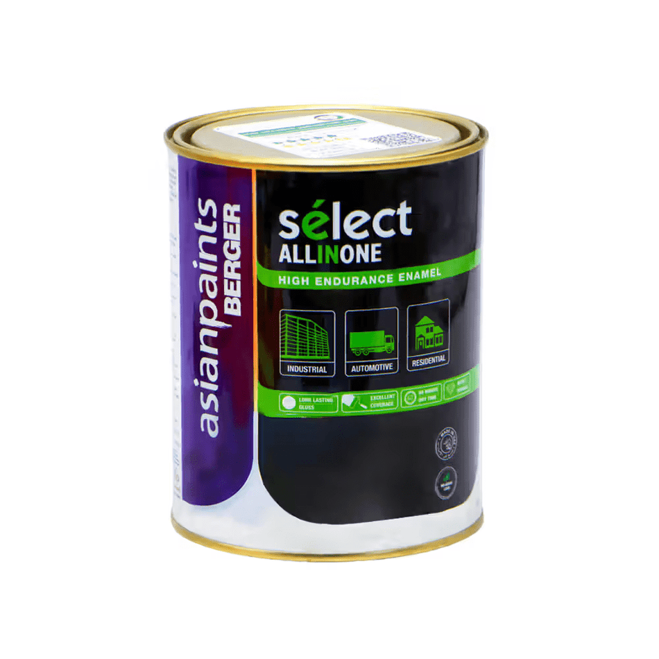 Asian Paints Berger Select All In One Enamel 900ML 578 Michel Green