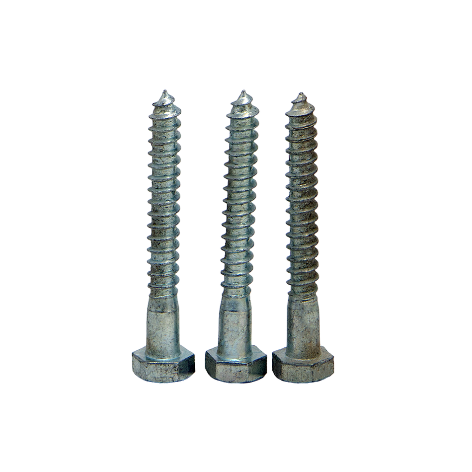 Coach Screw 3"